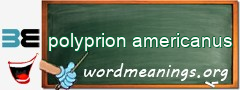 WordMeaning blackboard for polyprion americanus
